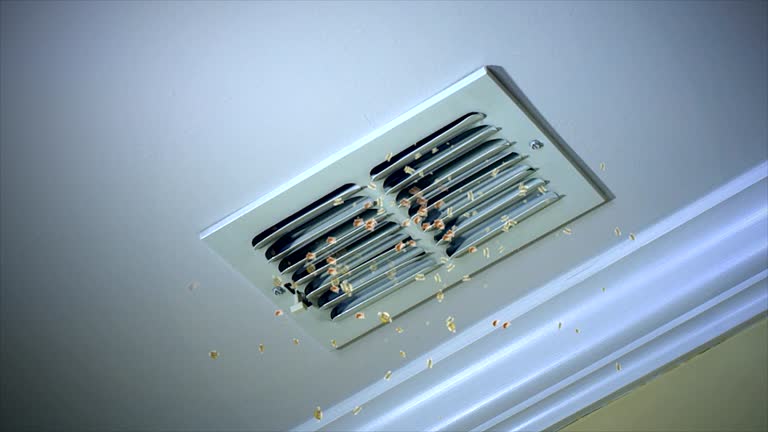 Best Home Air Vent Cleaning  in China Spring, TX